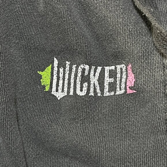 Aerie X Wicked Big Chill Jogger M Medium Grey Sweatpants Pull-On - Picture 5 of 7